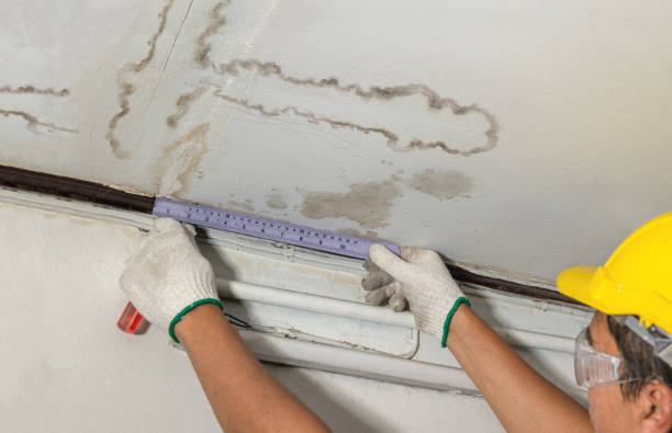 Reliable Water Damage contractor in Buena Vista, VA by Water Damage Irwin